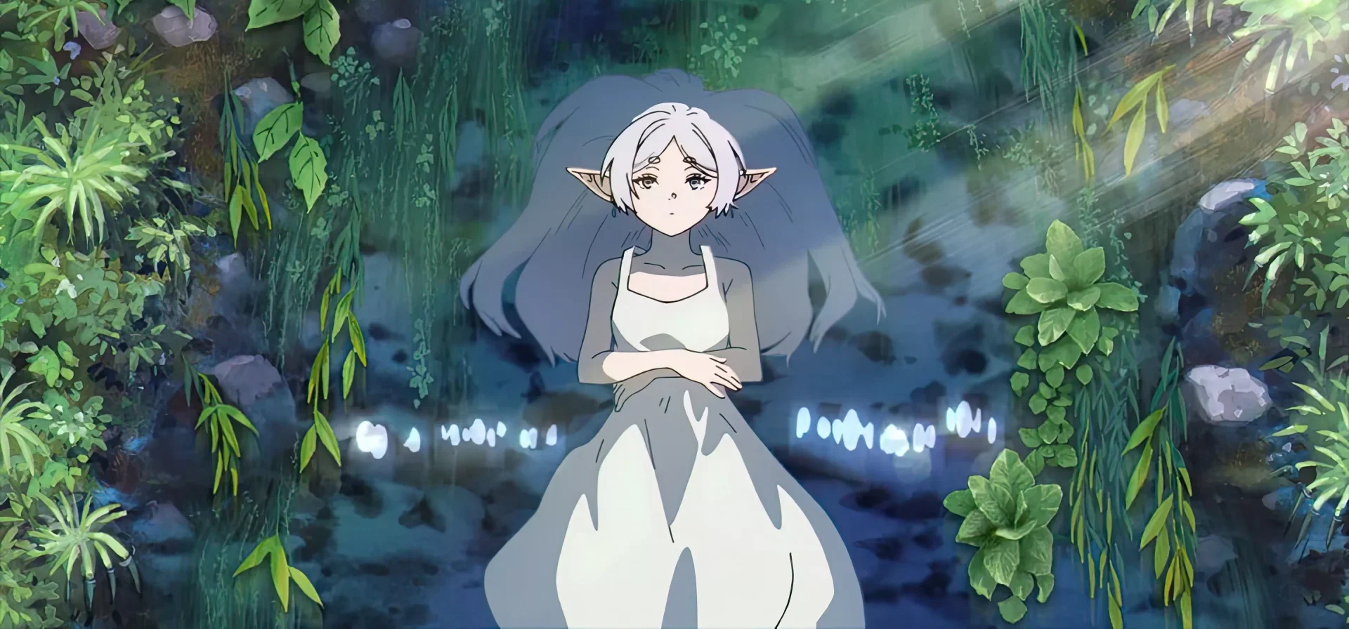 Een Geanimeerd Gesprek